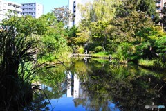 向島百花園～ⅵ