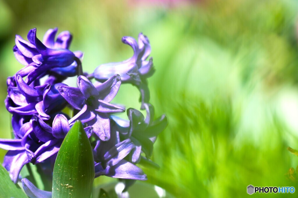 悲しみを超えた愛