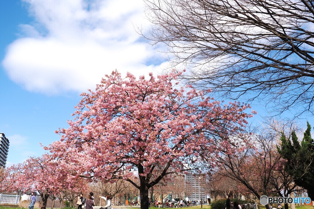 2月の春～ⅰ