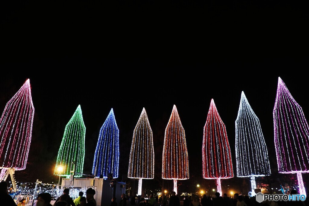 足立区（光の祭典）～⑧