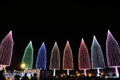 足立区（光の祭典）～⑧