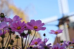 アンデルセン公園～ⅱ