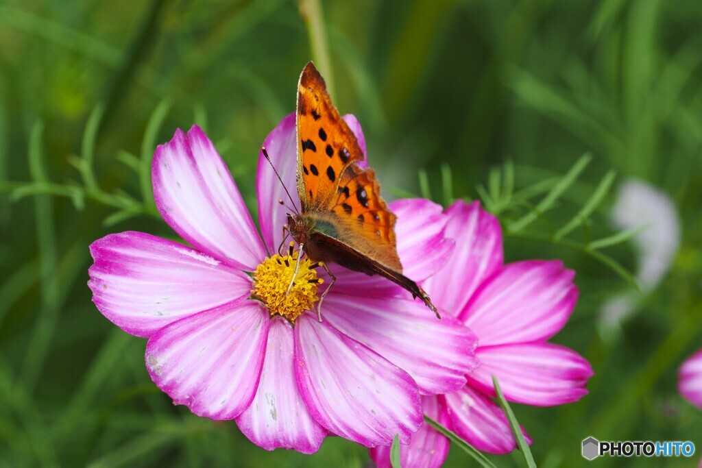 アンデルセン公園～ⅳ