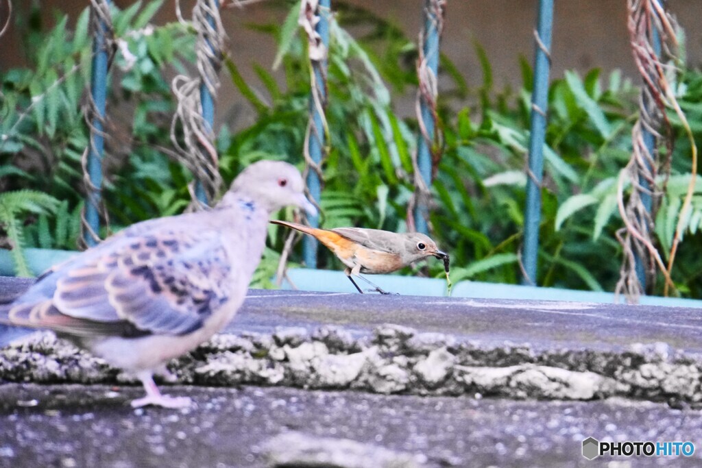 やばい！！