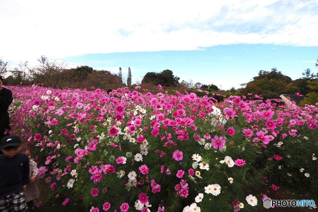 アンデルセン公園～ⅻ