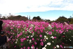 アンデルセン公園～ⅻ