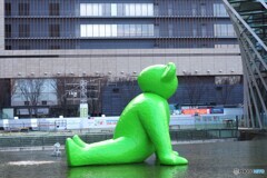 緑のクマさん