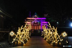 牛島神社「竹あかり」～ⅳ