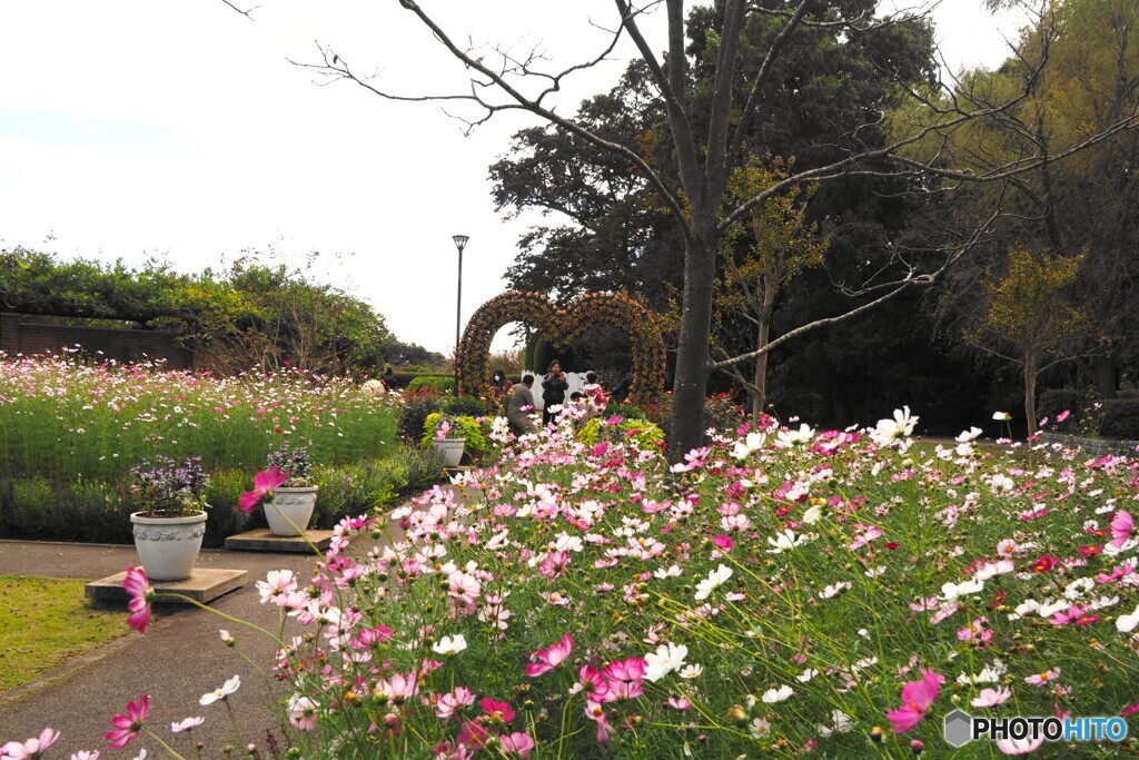 アンデルセン公園～ⅴ