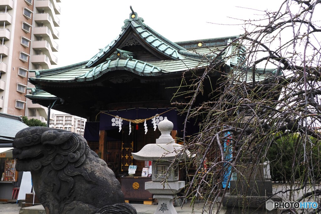 初詣～ⅱ