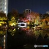 旧安田庭園～ⅲ