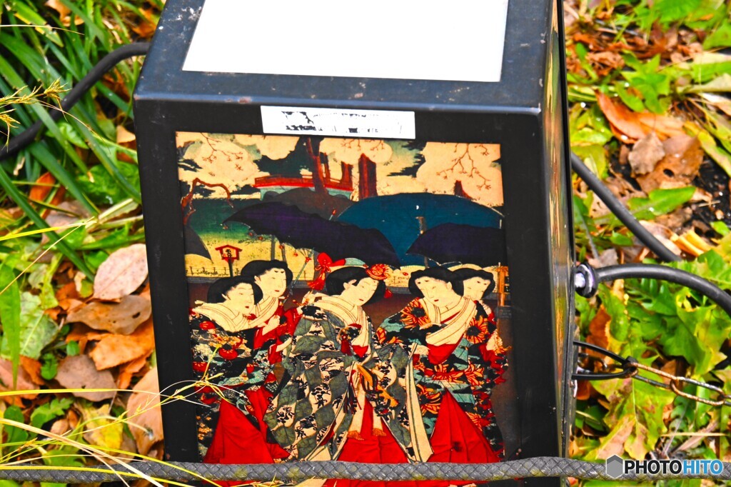 上野東照宮牡丹園～ⅺ