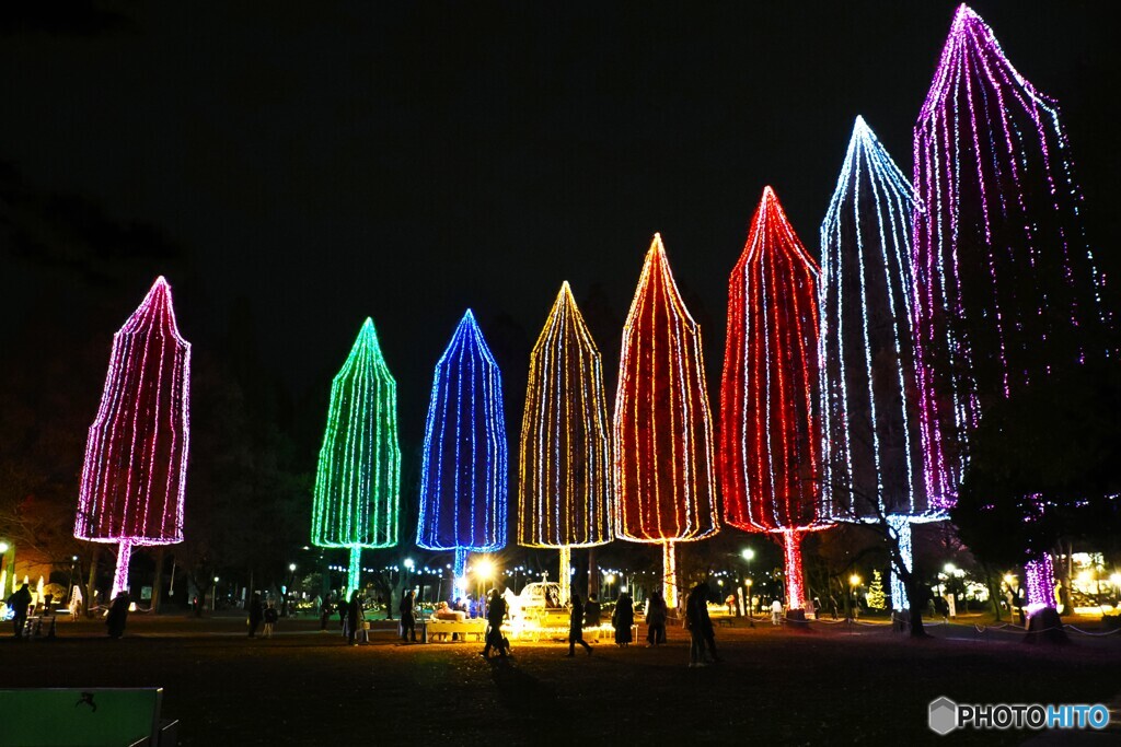 ADACHI 光の祭典～ⅳ