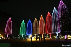 ADACHI 光の祭典～ⅳ