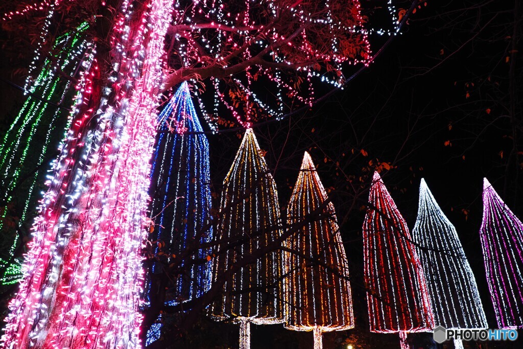 足立区（光の祭典）～⑤