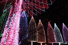 足立区（光の祭典）～⑤