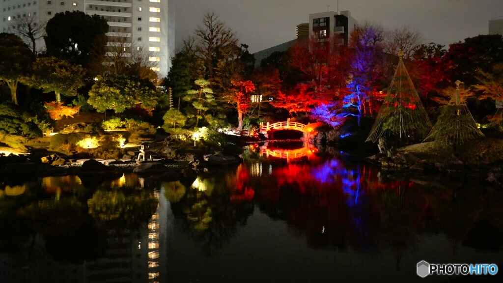 SUMIDA光のナイトガーデン2025～ⅱ