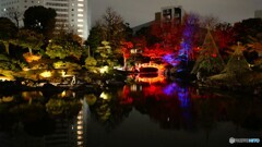 SUMIDA光のナイトガーデン2025～ⅱ