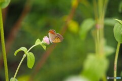昨年の8月末