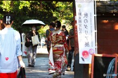 暑い日の振り袖姿