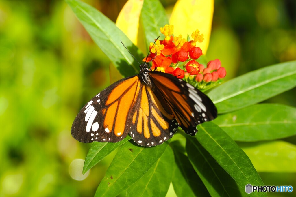 冬の生物園２０２５～ⅵ