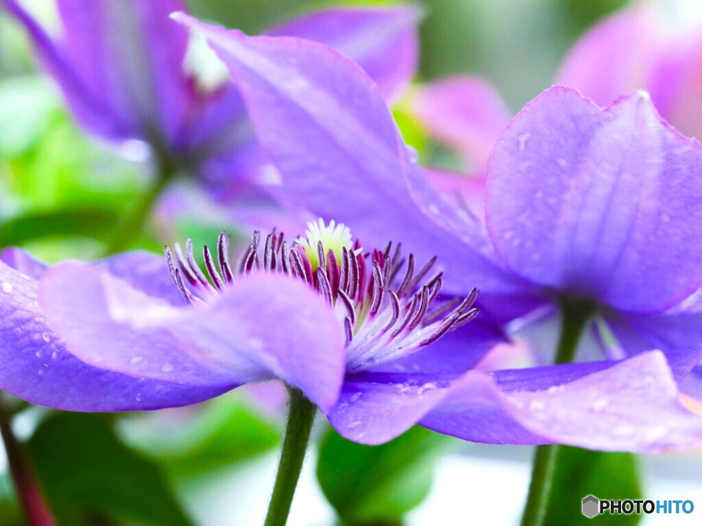 雨の日の策略～ⅱ