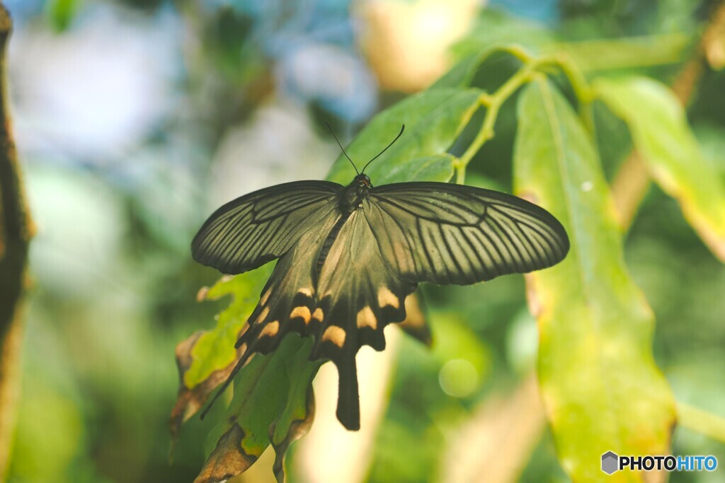 冬の生物園２０２５～ⅲ