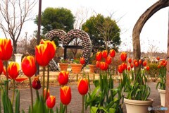 冬のアンデルセン公園～xvii