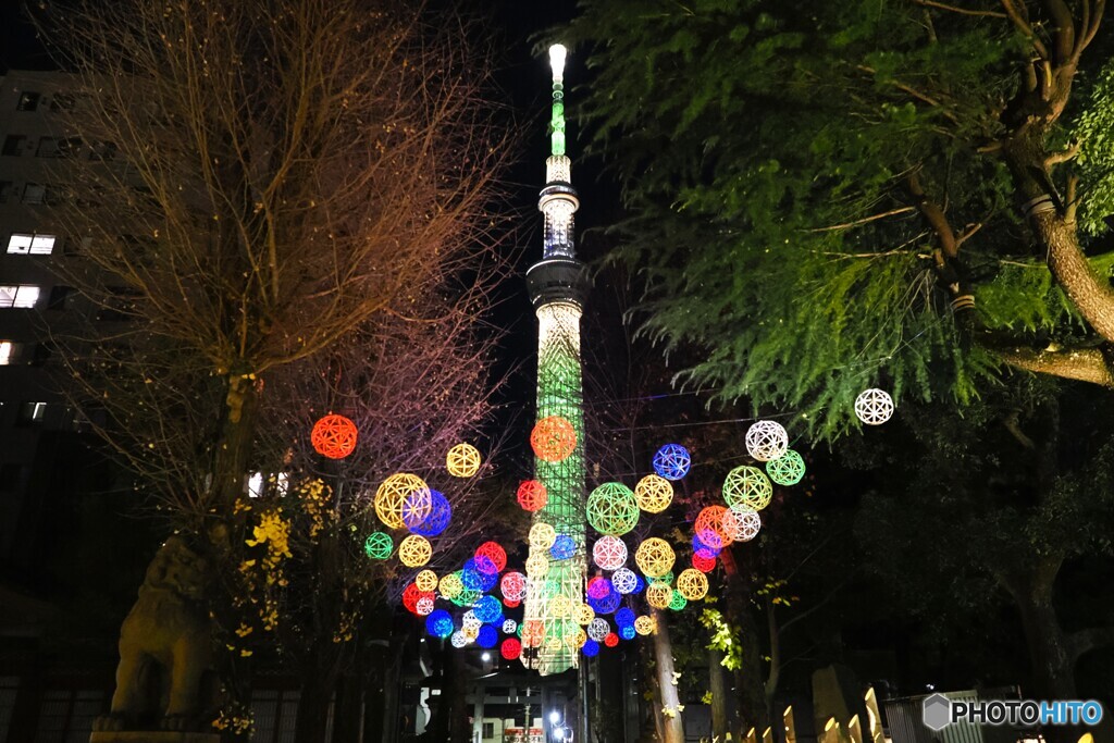 牛島神社「竹あかり」～ⅲ