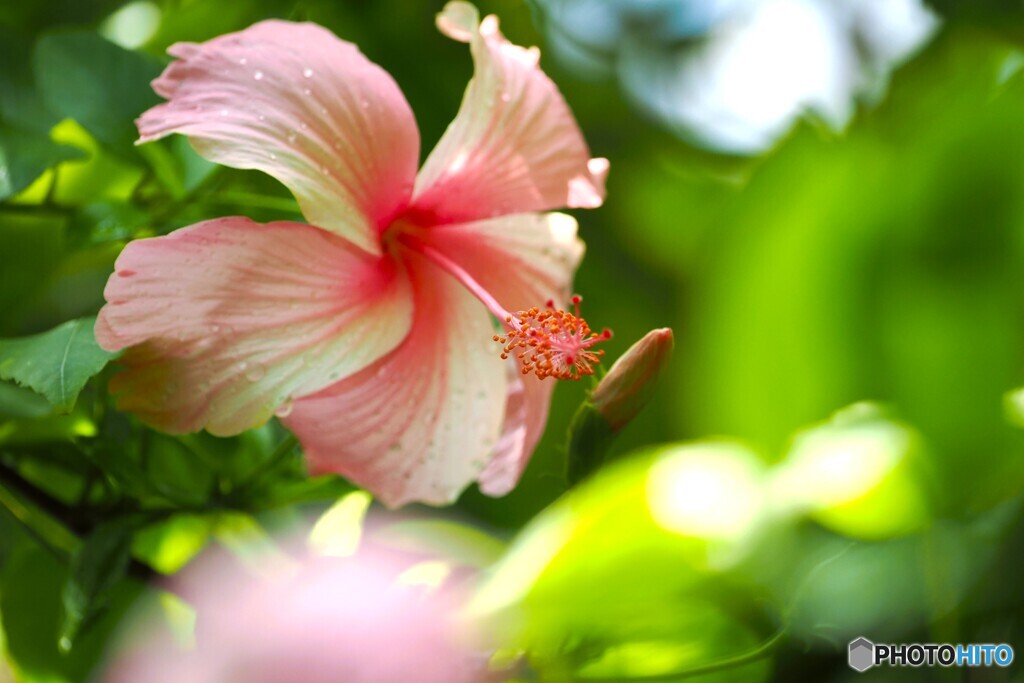 晩夏の生物園～⑬