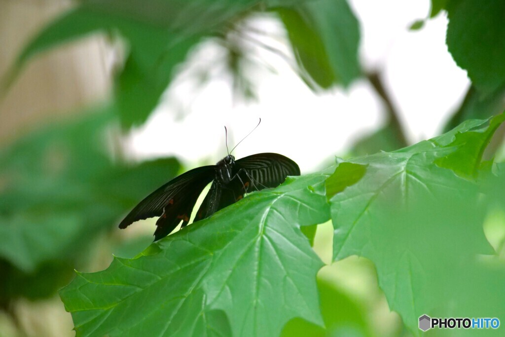 一休み