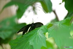 一休み