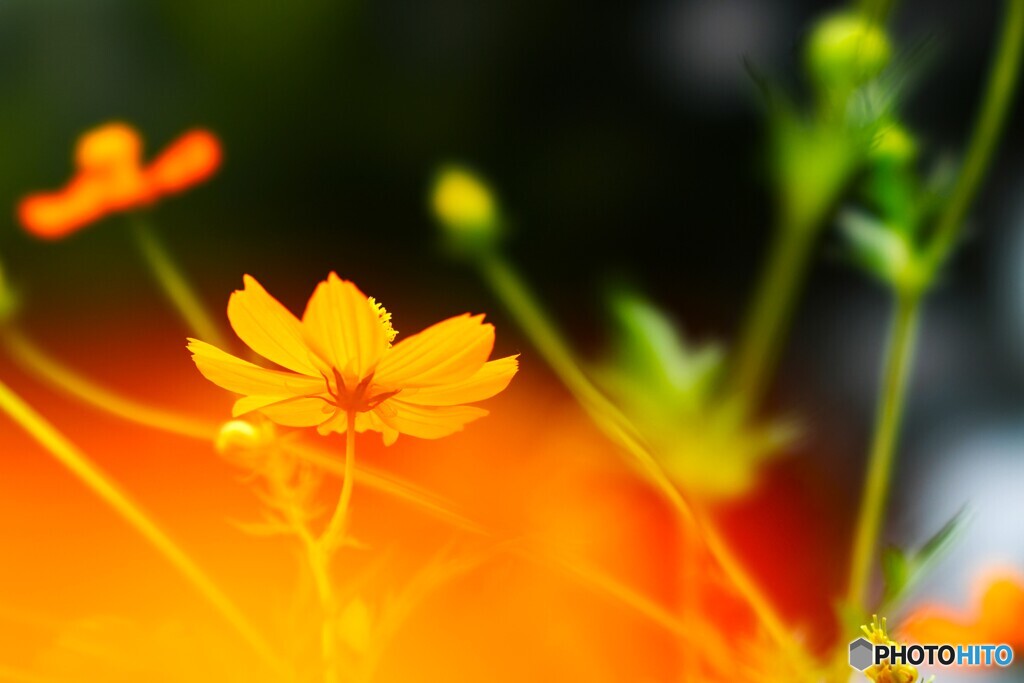 秋が来そう～ⅱ