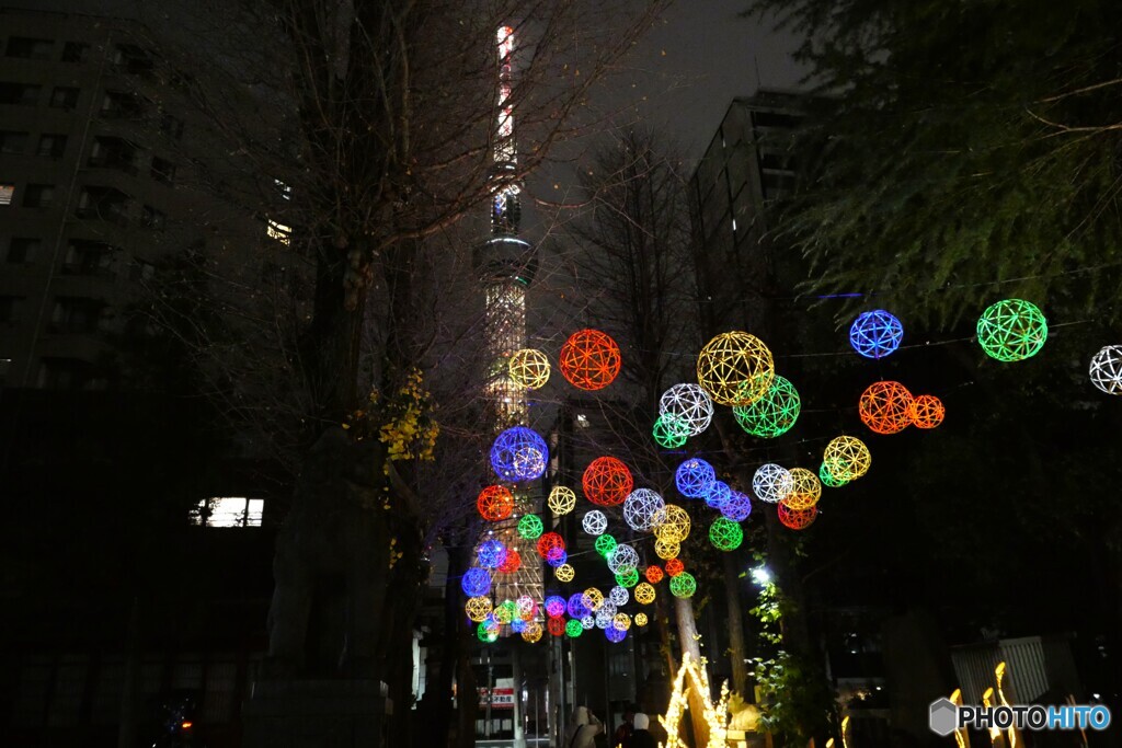 東京下町回遊竹あかり～ⅴ