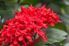 夏休み中の生物園～xxi