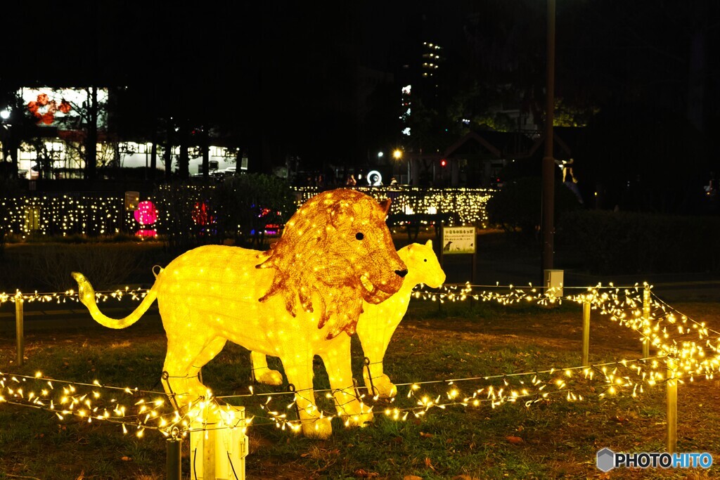 ADACHI 光の祭典～ⅹ