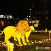 ADACHI 光の祭典～ⅹ