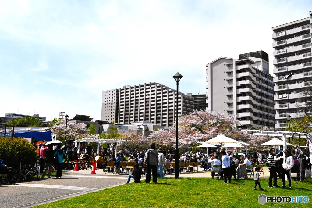 桜祭り～②