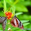 春の生物園～ⅸ