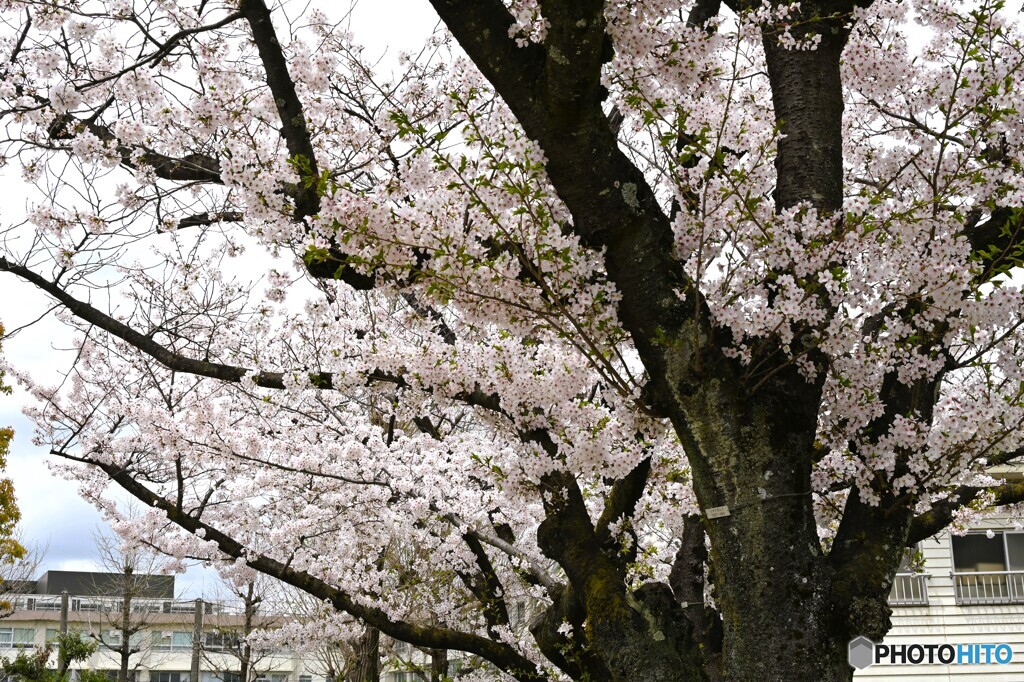 新宿交通公園～④