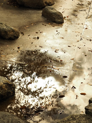 アスファルト光る