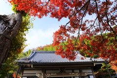 長法寺の紅葉