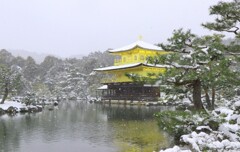 少し前の写真です（冬の金閣寺）