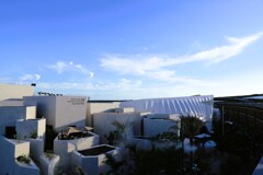EXPO 2025    テラスに囲まれて
