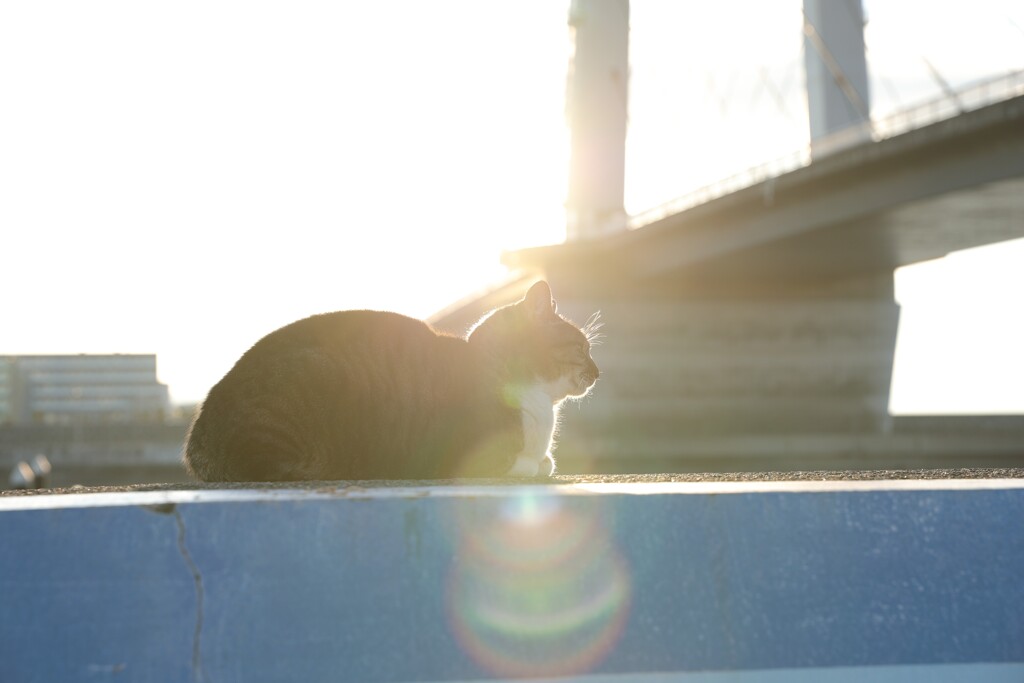 いつもの定位置