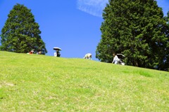 初夏でのひととき