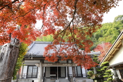 長法寺の紅葉