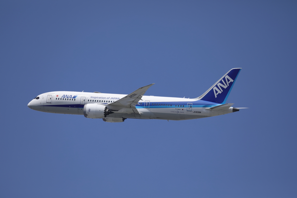 青空とANA『JA838A』