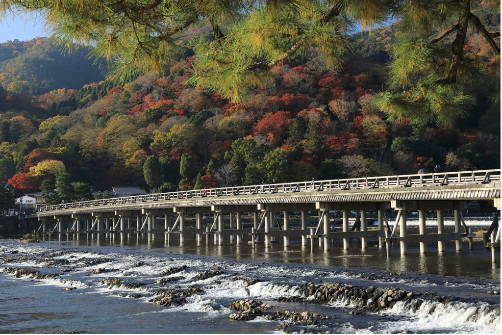 渡月橋から紅葉を想ふ