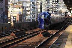 鉄仮面（ラピート）